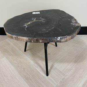 Versteend hout salontafel