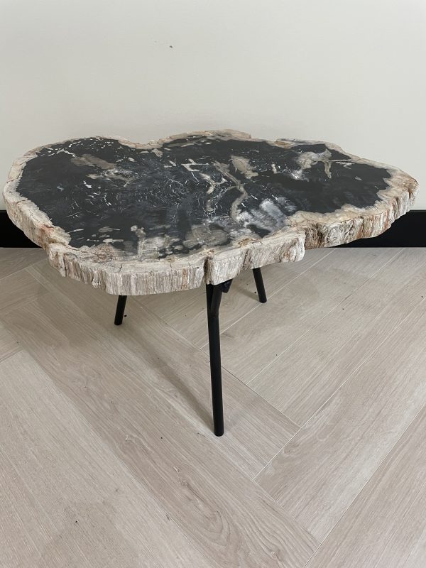 Versteend hout salontafel