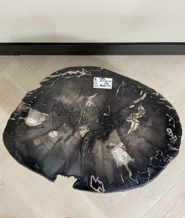 Couchtisch aus versteinertem Holz