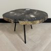Couchtisch aus versteinertem Holz