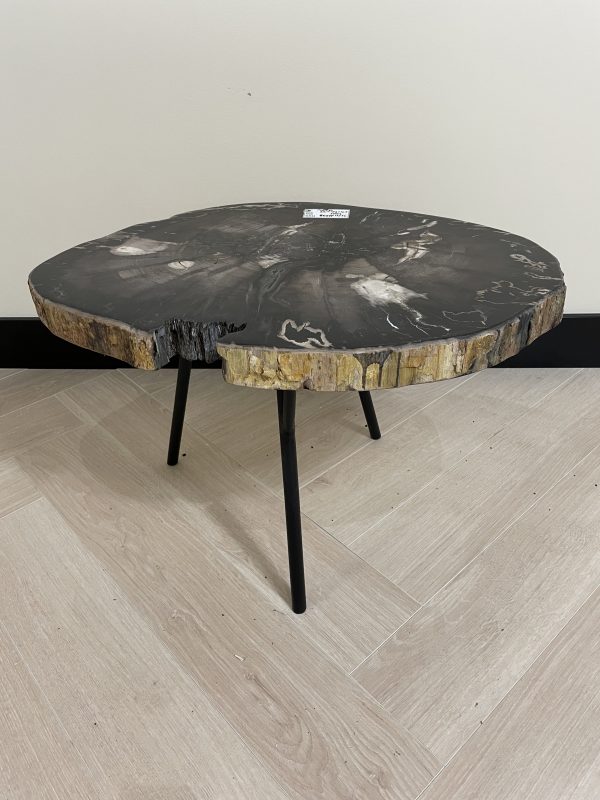 Couchtisch aus versteinertem Holz