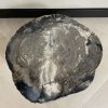 Versteend hout salontafel