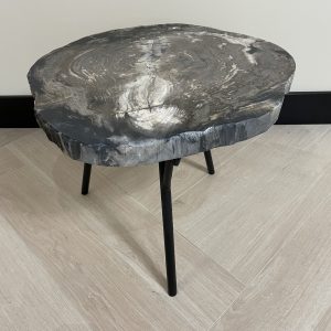 Versteend hout salontafel