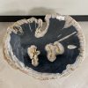 Couchtisch aus versteinertem Holz