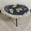 Couchtisch aus versteinertem Holz