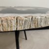 Couchtisch aus versteinertem Holz