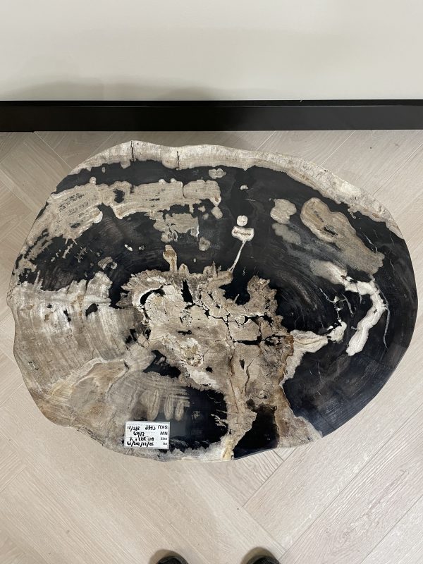 Couchtisch aus versteinertem Holz