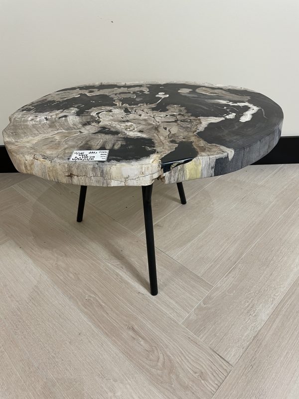 Couchtisch aus versteinertem Holz