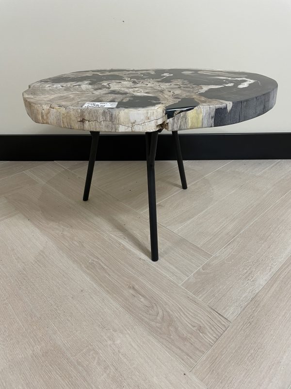 Couchtisch aus versteinertem Holz