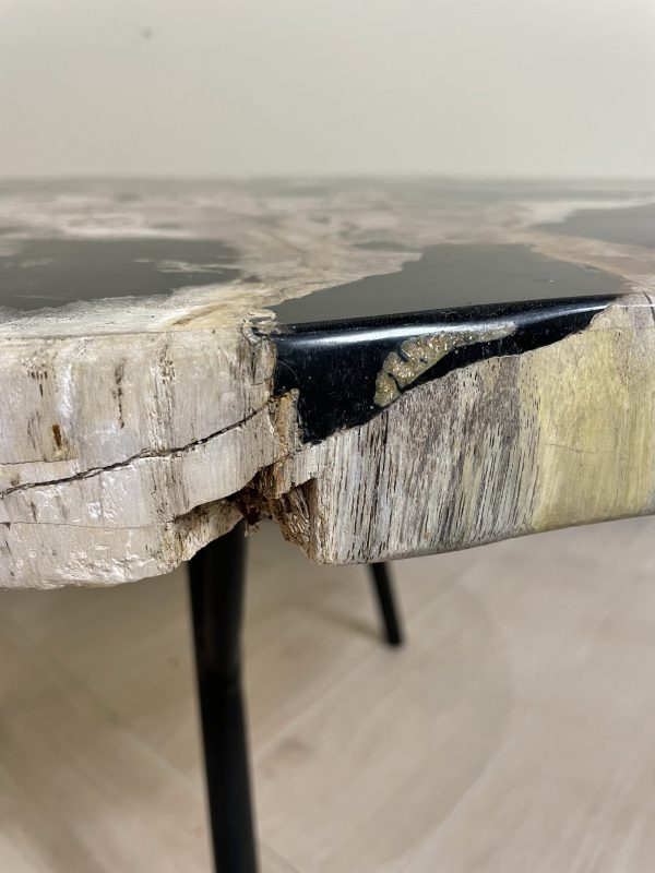 Couchtisch aus versteinertem Holz