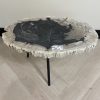 Couchtisch aus versteinertem Holz