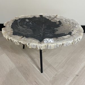 Versteend hout salontafel