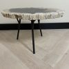 Couchtisch aus versteinertem Holz