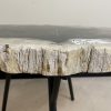 Couchtisch aus versteinertem Holz