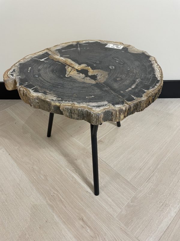 Versteend hout salontafel