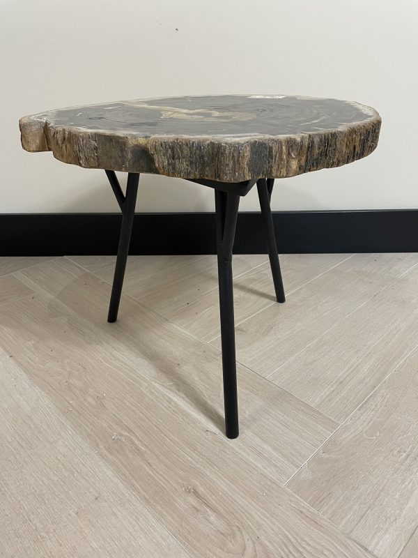 Versteend hout salontafel