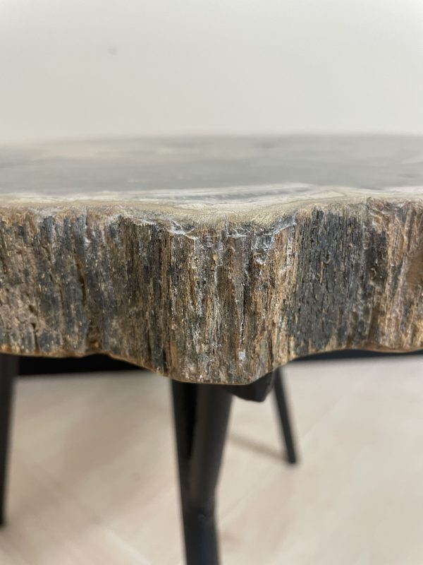 Versteend hout salontafel