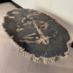 Versteend hout salontafel
