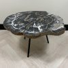 Versteend hout salontafel