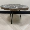 Versteend hout salontafel