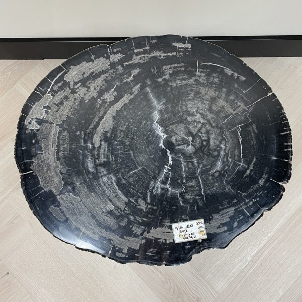 Couchtisch aus versteinertem Holz