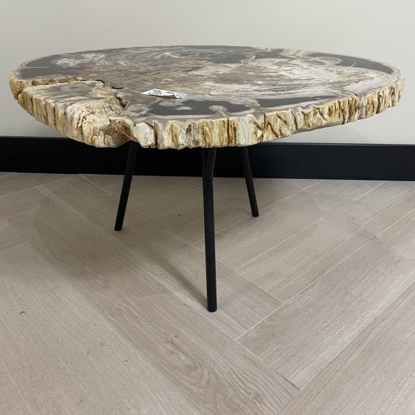 Versteend hout salontafel