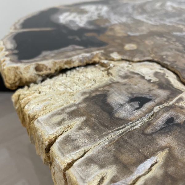 Versteend hout salontafel