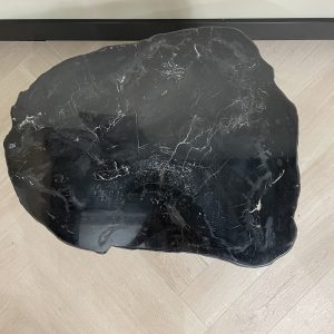 Versteend hout salontafel