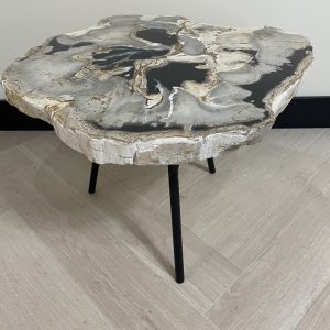 Versteend hout salontafel
