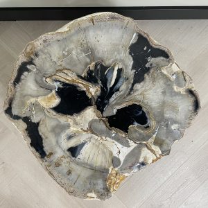 Versteend hout salontafel
