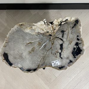 Versteend hout salontafel