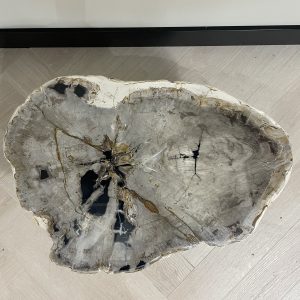 Versteend hout salontafel