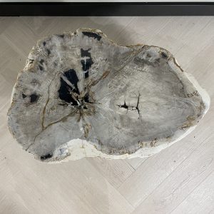 Versteend hout salontafel
