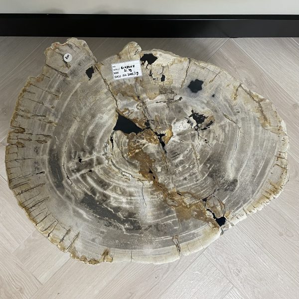 Versteend hout salontafel