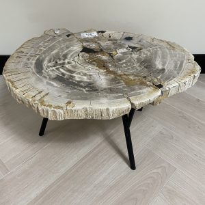 Versteend hout salontafel