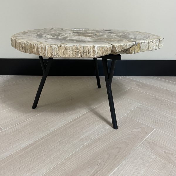Versteend hout salontafel
