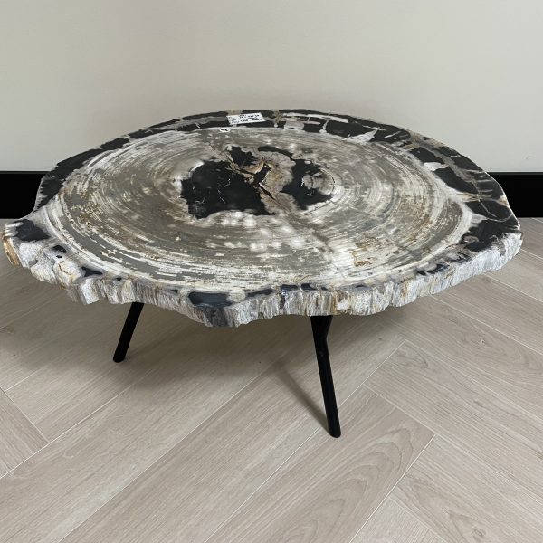 Couchtisch aus versteinertem Holz
