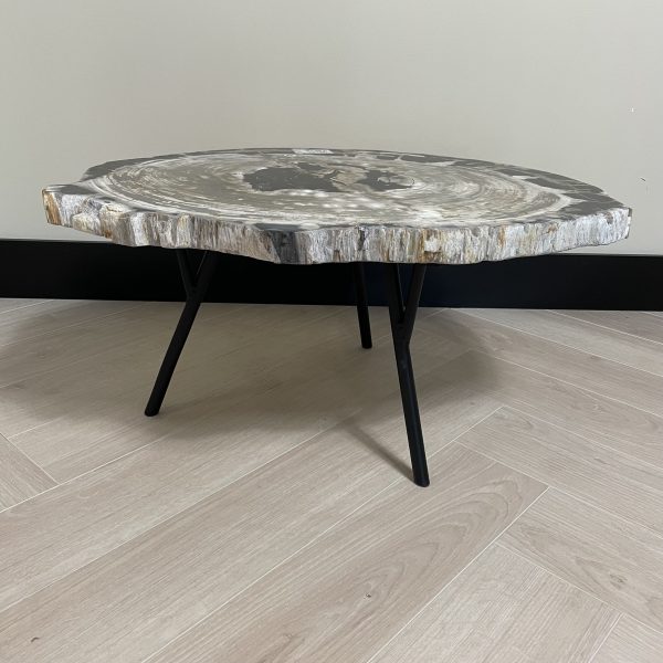 Couchtisch aus versteinertem Holz