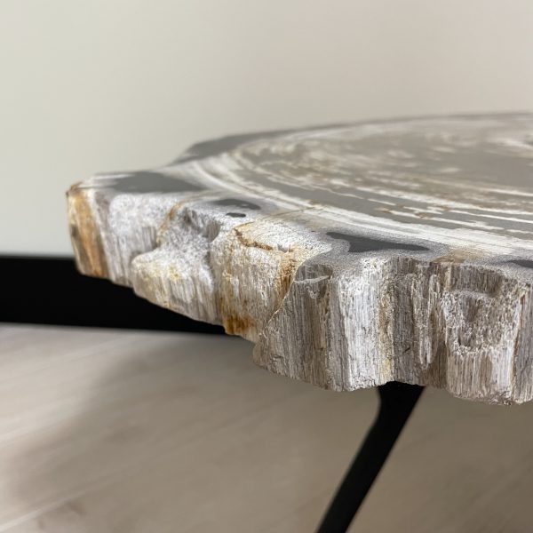 Couchtisch aus versteinertem Holz