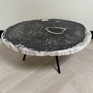 Versteend hout salontafel