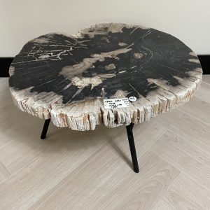 Versteend hout salontafel
