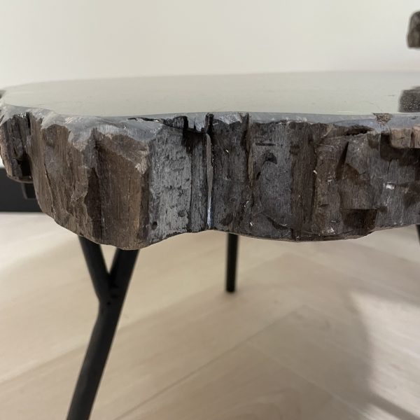 Versteend hout salontafel
