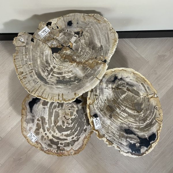Versteend hout salontafel