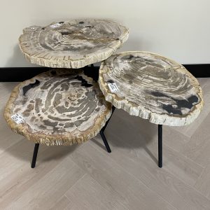 Couchtisch aus versteinertem Holz