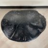 Couchtisch aus versteinertem Holz