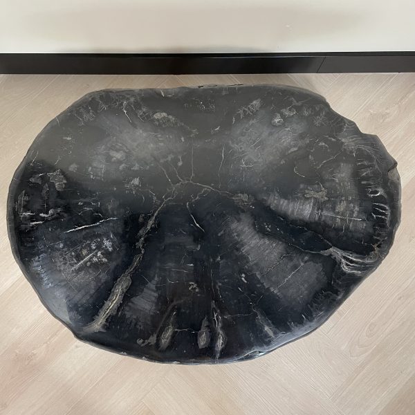 Couchtisch aus versteinertem Holz