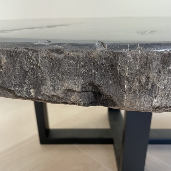 Couchtisch aus versteinertem Holz