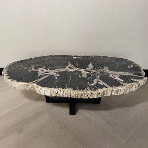 Versteend hout salontafel