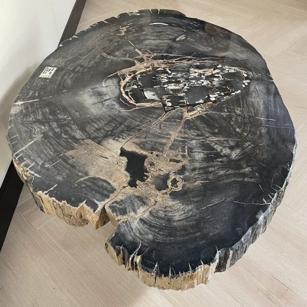 Versteend hout salontafel