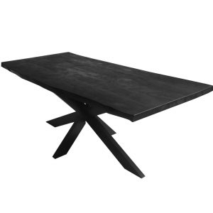 Zwarte Acacia boomstamtafel